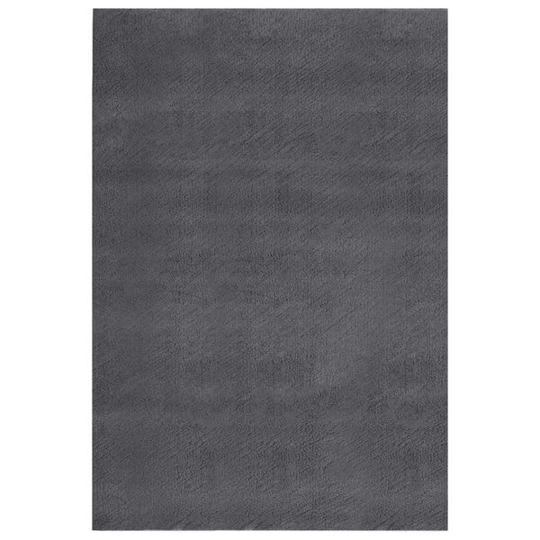 vidaXL Prateľný koberec, huňatý, krátky vlas 200x290 cm, protišmykový
