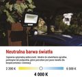 LED reflektor GLARO s pohybovým čidlom, 20 W, čierny, IP54, 2000 lm, neutrálna biela