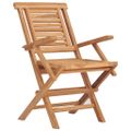 vidaXL Skladacie stoličky 2 ks 56x63x90 cm Masívne teakové drevo