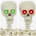 vidaXL Halloweenský Kostiak Biela 155 x 38,5 cm Polypropylén