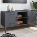 vidaXL TV skrinka antracitová 100,5x39x50,5 cm oceľ