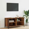 vidaXL TV skrinka 100 x 40 x 50 cm Staré drevo Kompozitné drevo