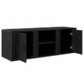 vidaXL TV skrinka 100 x 31,5 x 35 cm Čierny dub Kompozitné drevo