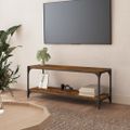 vidaXL TV skrinka dymový dub 100x33x41 cm spracované drevo a oceľ