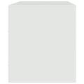 vidaXL TV skrinka biela 67x39x44 cm oceľ