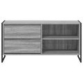 vidaXL TV skrinka 100 x 36 x 49,5 cm Sivý Sonoma Kompozitné drevo