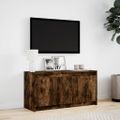 vidaXL TV stolík s LED dymový dub 100x34x50 cm kompozitné drevo