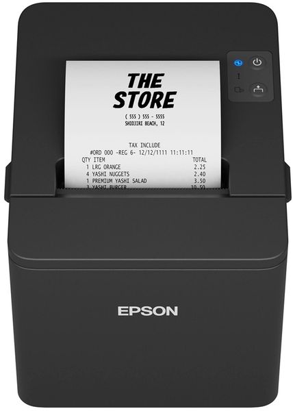 Epson TM-T20IV (101): USB + Serial, PS, Blk, EÚ