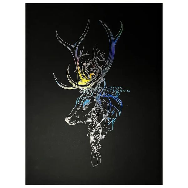 Obraz Harry Potter - Patronus