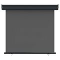 vidaXL Bočný markíz na balkón 100 x 250 cm