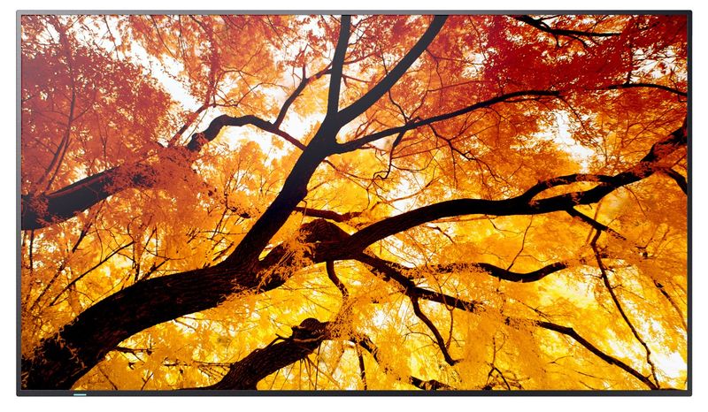 50'' LED SHARP M502,3840x2160,24/7