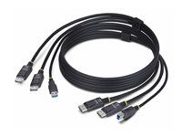 StarTech 6ft (1.8m) Dual-DisplayPort and USB 5Gbps KVM Cable - Kábel klávesnice / videa / myši (KVM) - USB typ A, DisplayPort (M) na USB Type B, DisplayPort (M) - 1.83 m - podpora 4K60Hz, podpora HDR10 - čierna