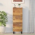 vidaXL Komoda s 3 dvierkami 40x33x110 cm masívny mangovník a železo