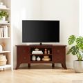 vidaXL TV skrinka Hnedá 100 x 40,5 x 46 cm Masívne mahagónové drevo