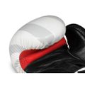 Boxerské rukavice DBX BUSHIDO B-2v8 14 oz