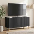 vidaXL TV skrinka 99 x 34,5 x 50 cm Čierna Kompozitné drevo