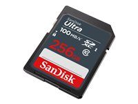 Pamäťová karta flash - 256 GB - UHS Class 1 / Class10 - SDXC UHS-I