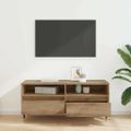 vidaXL TV skrinka 100 x 34,5 x 44,5 cm Remeselný dub