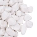 vidaXL Leštené kamienky 10 kg biele 2-5 cm