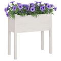 vidaXL Záhradné kvetináče 2 ks biele 70x31x70 cm borovicový masív