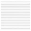 vidaXL Zebra roleta biela 165x100 cm šírka látky 160,9cm polyester