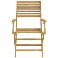 vidaXL Skladacie stoličky 2 ks 54,5x61,5x86,5 cm Masívne drevo akácia
