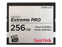 Pamäťová karta flash - 256 GB - CFast 2.0