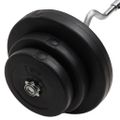 vidaXL Zakrivená obojručná činka so závažiami 60 kg