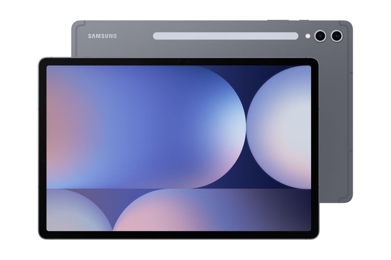 Samsung Galaxy Tab S10+/SM-X820/12,4''/2800x1752/12GB/512GB/An14/Moonstone Gray