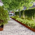 vidaXL Obrubník trávnika 50 pcs 15 x 103 cm Poveternostne odolná oceľ