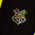 Tričko Harry Potter - Turnaj troch čarodejníkov: Cedric Diggory