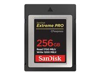 Pamäťová karta flash - 256 GB - CFexpress