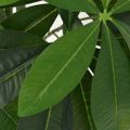 vidaXL Umelá rastlina, pachira s kvetináčom 85 cm, zelená