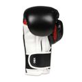 Boxerské rukavice DBX BUSHIDO B-3W 12 oz