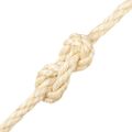 vidaXL Lano 100% sisal 10 mm 500 m