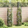 vidaXL Pergola na popínavé rastliny, 2 ks