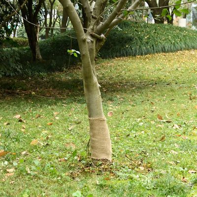 vidaXL Valec z juty 0,25x10 m 100 % juta 200 gsm
