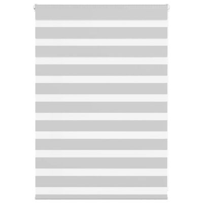 vidaXL Zebra roleta svetlosivá 100x100cm šírka látky 95,9 cm polyester