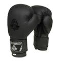 Boxerské rukavice DBX BUSHIDO B-2v12 16 oz