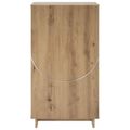 vidaXL Skriňa na topánky 48 x 38 x 87,5 cm Kompozitné drevo