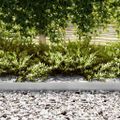 vidaXL Obrubník trávnika 20 ks 100 x 0,05 x 15 cm Pozinkovaná oceľ