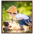 vidaXL Fotorámiky na stôl, koláž 5 ks, bronzové 30x30 cm, MDF