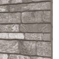 vidaXL Nástenné panely 10 ks 100 x 50 cm Tmavosivá EPS pena