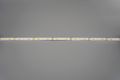 Modee LED pás DC24V 9,6W/m 128LED/m 8mm IP20 4000K (1150 lm/m) B5 (ML-LS24V48W128L/M4000KB5)