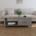 vidaXL Konferenčný stolík HAMAR, svetlosivý 100x55x35 cm, borovica