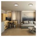 LED nástenné svietidlo ILVI, kruhové 30 W, stmievanie + CCT, drevo