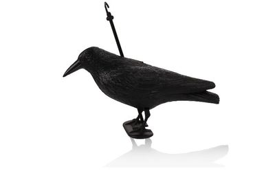 Havran plastová 3D maketa na plašenie vtákov RAVEN ISO 0783, 40cm Havran plastová 3D maketa na plašenie vtákov RAVEN ISO 0783, 40cm