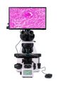 Biologický digitálny mikroskop MAGUS Bio D260T LCD