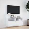 vidaXL TV nástenná skrinka s LED svetlami biela 100x31x45 cm