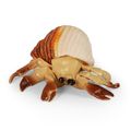 Krab s ulitou 10 cm